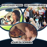 Dresseur de chiens rechargeable et étanche