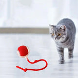 Balle interactive pour chat d'intérieur