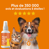 Spray de soin cutané pour chien contre puces et tiques