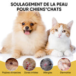 Spray de soin pour la peau des animaux