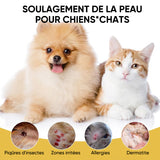 Spray de soin pour la peau des animaux