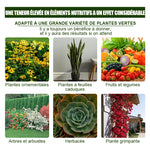Solution nutritive pratique pour plantes