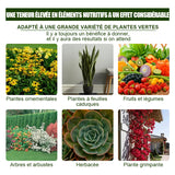 Solution nutritive pratique pour plantes