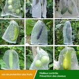 Sac de Protection pour Fruits (100 PCS)