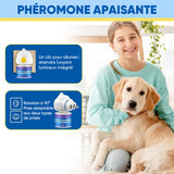 Ensemble diffuseur de phéromones apaisantes pour animaux (versions chat et chien)
