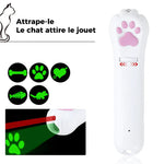 "Attrape-le" Le chat attire les jouets