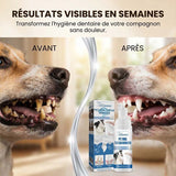 Spray de soin contre le tartre dentaire pour animaux