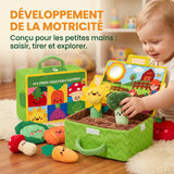 Ensemble de jouets interactifs pour bébé, jardin sensoriel