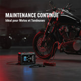 Chargeur intelligent 6V/12V automatique portable
