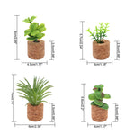 Mini Plante Décoratif Polyvalent de Voiture et Frigo