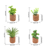 Mini Plante Décoratif Polyvalent de Voiture et Frigo