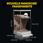 Mangeoire d'oiseaux automatique transparente sans déversement