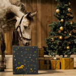 🐎Calendrier de l'Avent des Fournitures pour Chevaux 2024