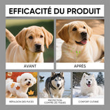 Spray de soin cutané pour chien contre puces et tiques