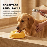Gamelle lente pour animaux et tapis de léchage