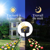 Fleur de rose solaire à 3 DEL