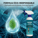 Spray anti-mousse pour toiture