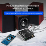 Module amplificateur de puissance pour récepteur audio 2.1 canaux