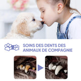 Spray de nettoyage pour animaux de compagnie