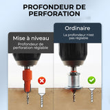 Forets à Chanfreiner Alliés