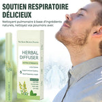 🔥Diffuseur à base de plantes avec extrait de molène