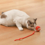 Balle interactive pour chat d'intérieur