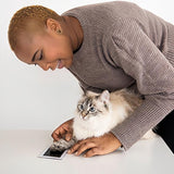 Kit d'impression de pattes d'animaux