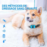 Dresseur de chiens rechargeable et étanche