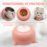 Distributeur d'aliments en silicone