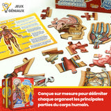 Puzzle d’Anatomie Humaine pour Enfants