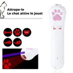 "Attrape-le" Le chat attire les jouets