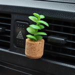 Mini Plante Décoratif Polyvalent de Voiture et Frigo