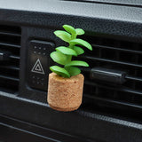 Mini Plante Décoratif Polyvalent de Voiture et Frigo