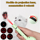 Peigne multifonctions pour animaux de compagnie