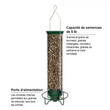 Mangeoire à oiseaux anti-écureuil