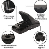 Piège à souris ménager délicat (6 pièces)