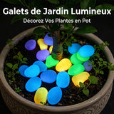 Pierres de jardin phosphorescentes
