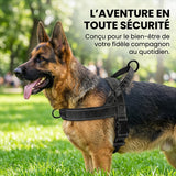 Harnais réfléchissant anti-traction ultime pour chien