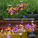 Lampes solaires papillon pour jardin