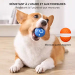 Balle pour chien taquine automatique et intelligente