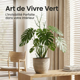 Tuteurs pour Plantes en Forme de Branche