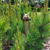 Poulet/autruche cachés drôles de long cou pour le décor de jardin