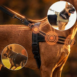 Harnais réfléchissant anti-traction ultime pour chien