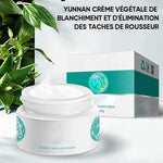 Crème éclaircissante pour taches à base de plantes médicinales