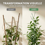 Tuteurs pour Plantes en Forme de Branche