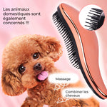 Peigne à épiler pour animaux de compagnie