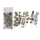 Ensemble d'autocollants de fleurs séchées