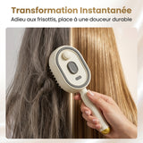 Peigne de massage électrique brumisateur à coussin d’air