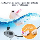 Jouets pour chats
