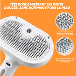 Peigne épilatoire en spray pour animaux de compagnie